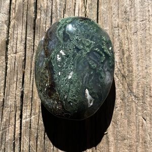 Moss Agate Palm